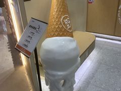 -野人先生现做冰淇淋(深圳壹方城店)