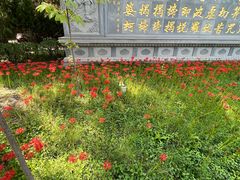 -西安大兴善寺