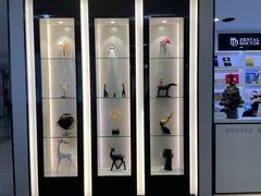 -牙博士口腔品牌连锁(杨浦店)