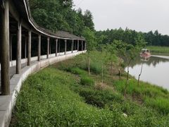 -上海海湾国家森林公园