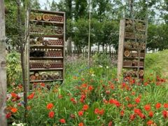 -前小桔亲子创意农场·草莓采摘·露营烧烤