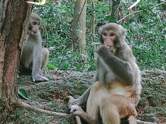 -黔灵山公园