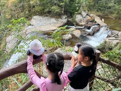 -海南热带雨林国家公园吊罗山景区