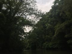 -九曲溪竹筏码头