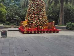 -广州富力丽思卡尔顿酒店