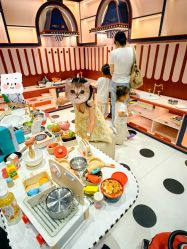 点击看大图 -meland亲子乐园(北京首开通州万象汇店)