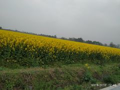 -中国天府农业博览园