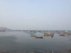 iphone_upload_pic-春妮海味饭店