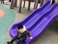 -枫香湖儿童公园