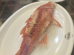 -吴记富苑(朝阳店)