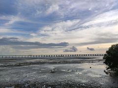 -宝安西湾红树林湿地公园