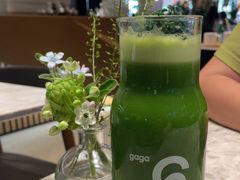 -gaga(深圳福田星河COCO Park店)