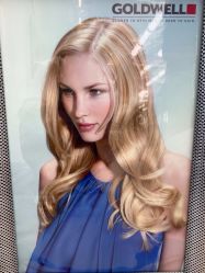 -Z.X HAIR SALON张新美业