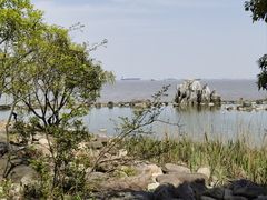 -上海吴淞炮台湾国家湿地公园