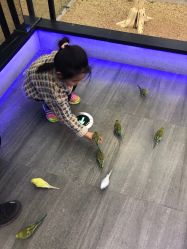 -未来动物城主题公园(正弘城店)