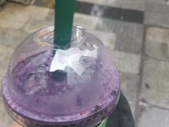 -茉酸奶(春熙路店)