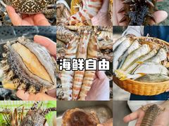 -巽寮湾