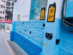 -猫咪博物馆(顶澳仔猫街店)