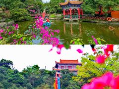 -东莞观音山旅游风景区