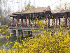 -南翠屏公园
