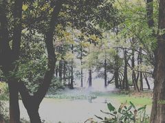 -东湖落雁景区