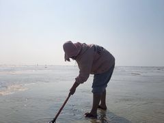 -红树林天天赶海