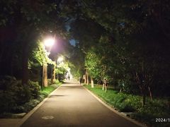 -昆山城市生态森林公园