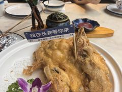 -唐猫庭院·千年陕菜(大唐不夜城店)