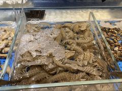 -加餐海鲜自助(集美银泰百货店)