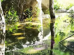 -灵溪风景区