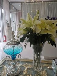 点击看大图 -悦色嘉丽科技美肤健康管理