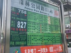 -广州市帽峰山景区