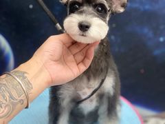 -FAELING PETS美天灵宠物(富力广场店)