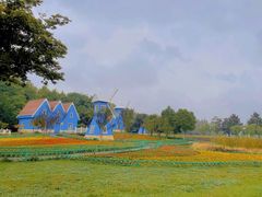 -宜兴龙背山森林公园