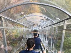 -丹东天桥沟景区