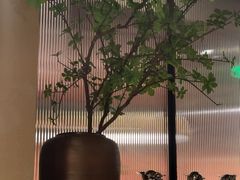-青年公社烤鸭(肇嘉浜路店)