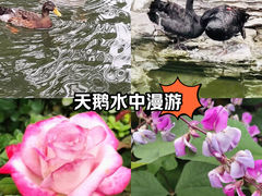 -三里河公园