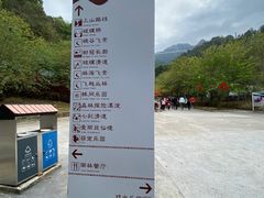 -南丹山森林王国