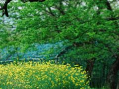 -西溪南古村落