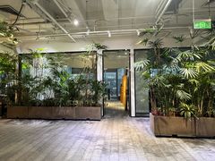 -大视光学•LINDBERG林德伯格•全球手工眼镜集合店(王府井店)