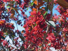 -永定河休闲森林公园