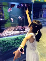 -酷嗒动物文化乐园(cutezoo西溪乐天城店)