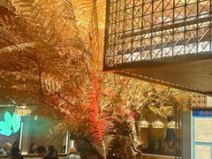 -ELI FALAFEL Lebanese&Mediterranean黎巴嫩美食(富城路店)