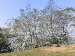 -艾溪湖湿地公园