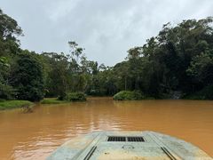 -热带雨林自然公园
