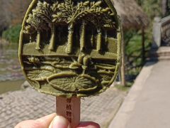 -中国科学院西双版纳热带植物园
