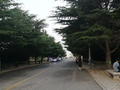 -ChanDu躔度咖啡(灯塔店)