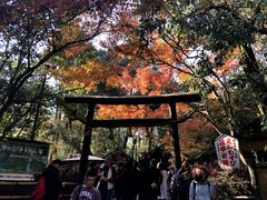 -野宫神社
