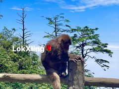 -峨眉山风景名胜区