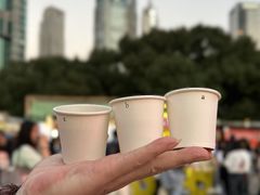 -陆家嘴中心绿地